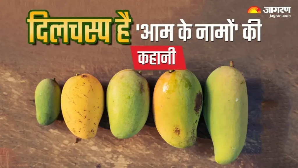 कहीं लंगड़ा तो कहीं तोतापरी कहलाया ‘फलों का राजा’, जानें आमों के दिलचस्प नामों की कहानी